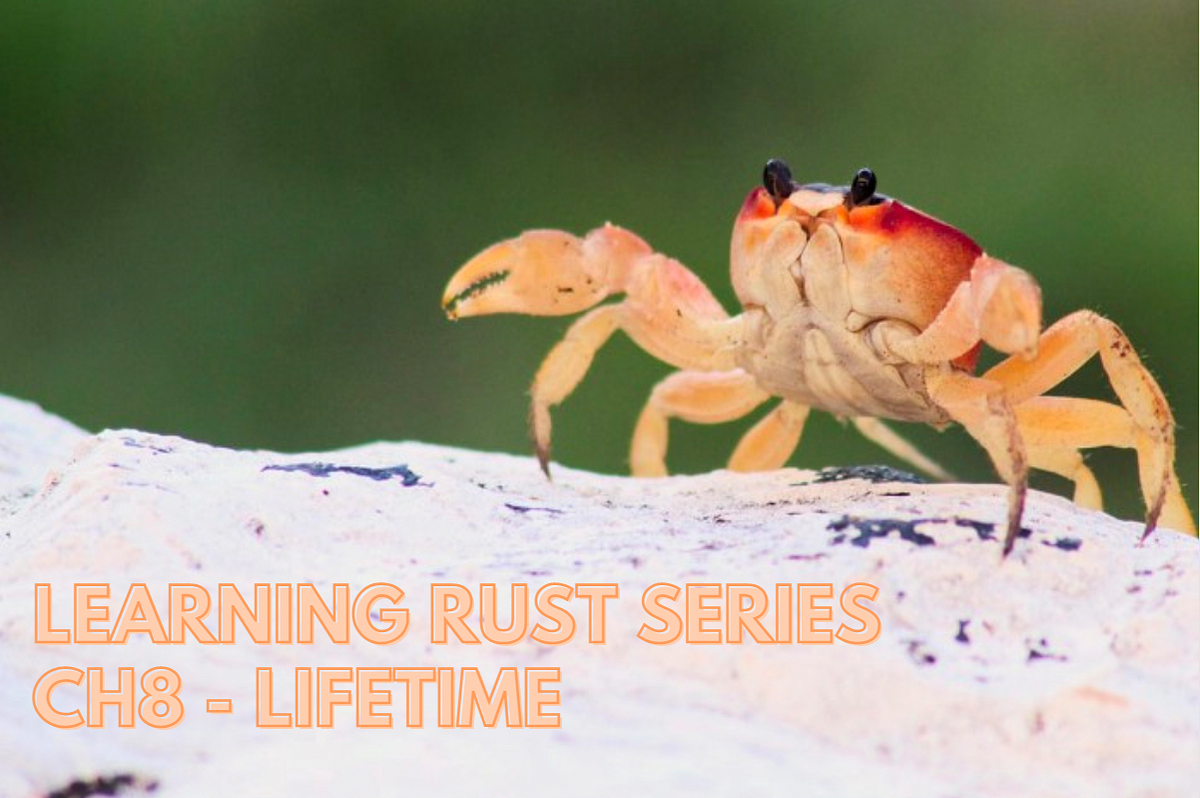 Learning Rust Series Ch8 — lifetime by Harry Lau Medium