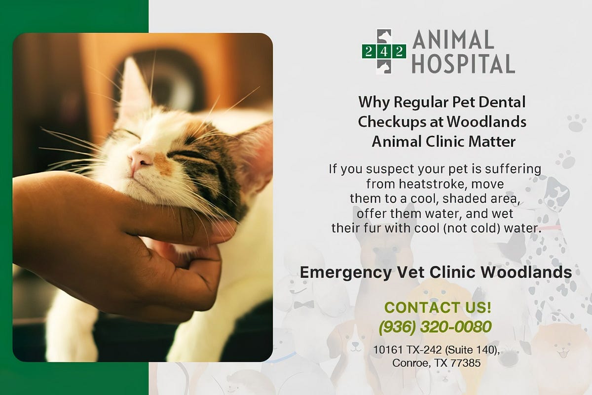 Complete Pet Care at Woodlands Veterinary Clinic Focusing on Your Pet