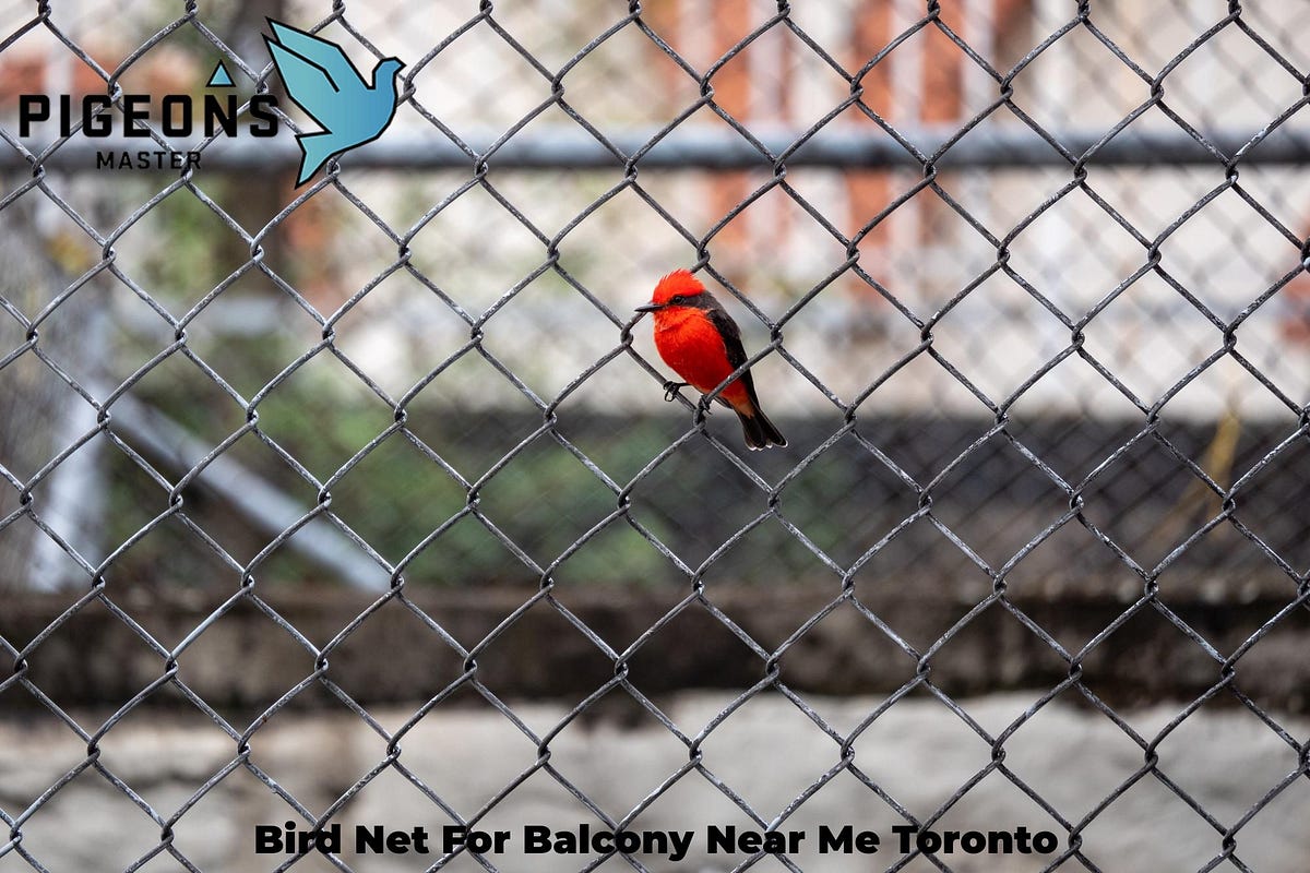Bird Net For Balcony Near Me Toronto Pigeon's Master Medium