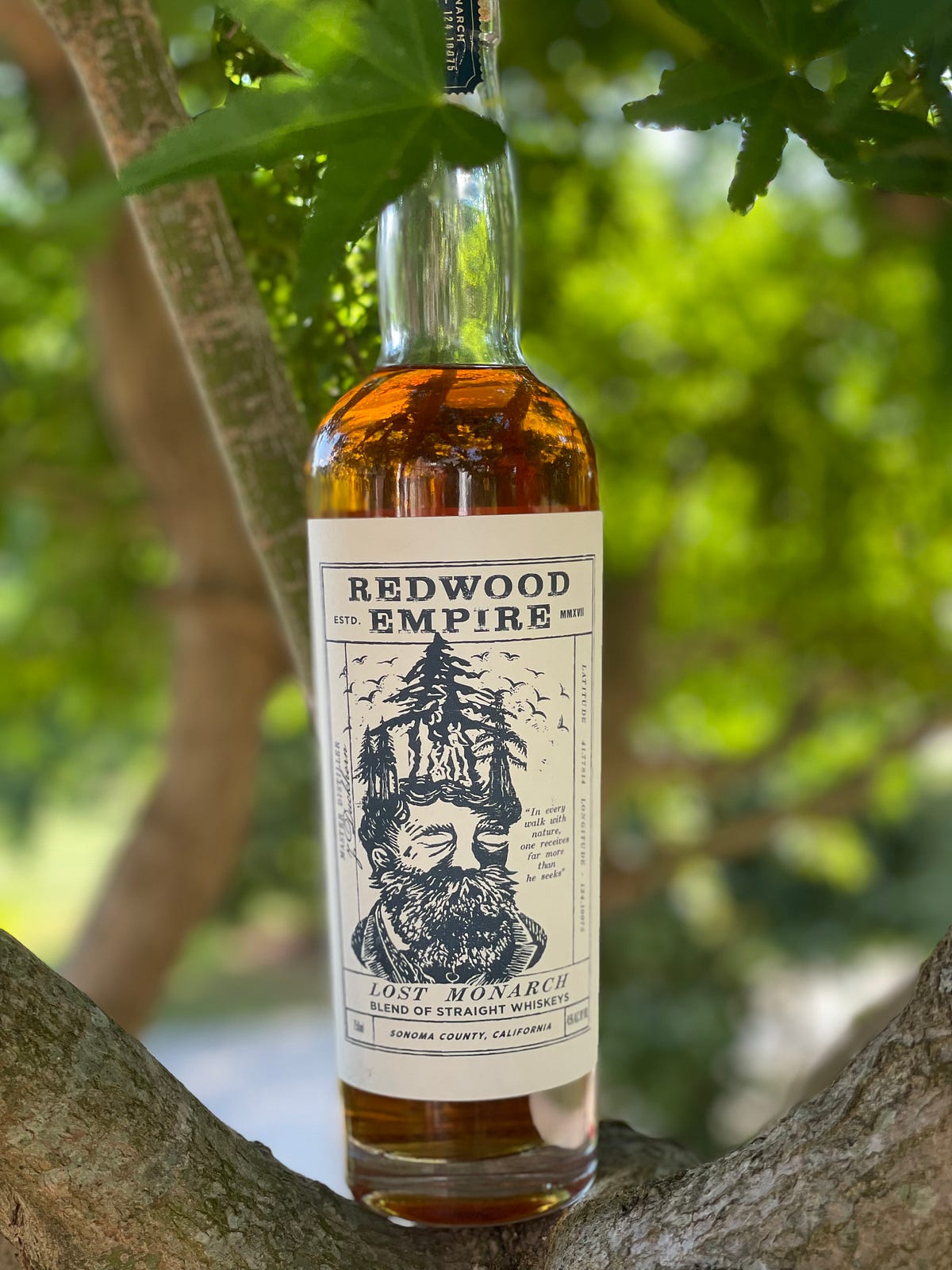 Review 3 Redwood Empire Lost Monarch by The Proof Hounds Medium