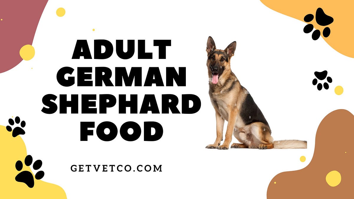 What is the Best Food for 2 Year Old German Shephard?