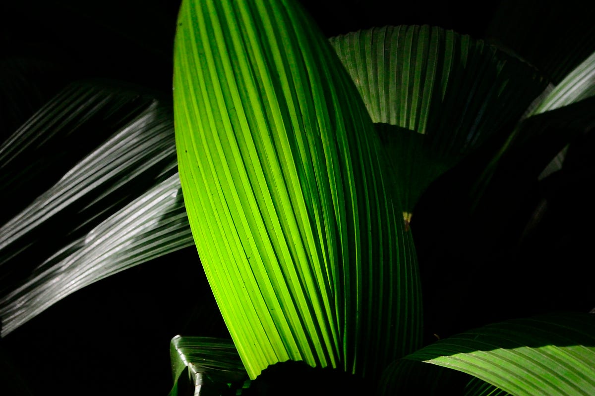 Light color and textures. - Pinina Natii - Medium