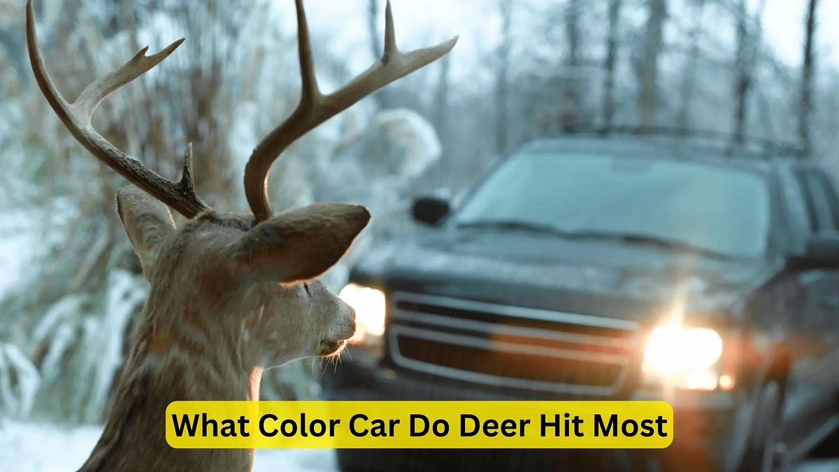 What Color Car Do Deer Hit Most? Discover the Surprising Truth! by Car Individuals Medium