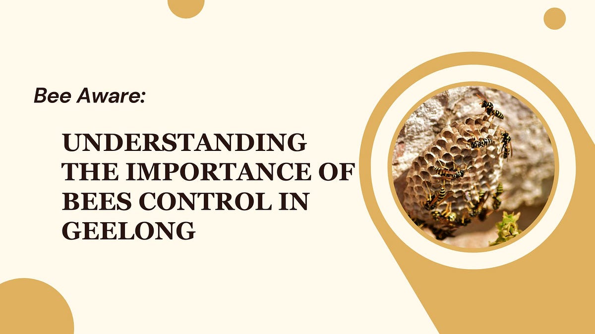 Bee Aware Understanding the Importance of Bees Control in Geelong by