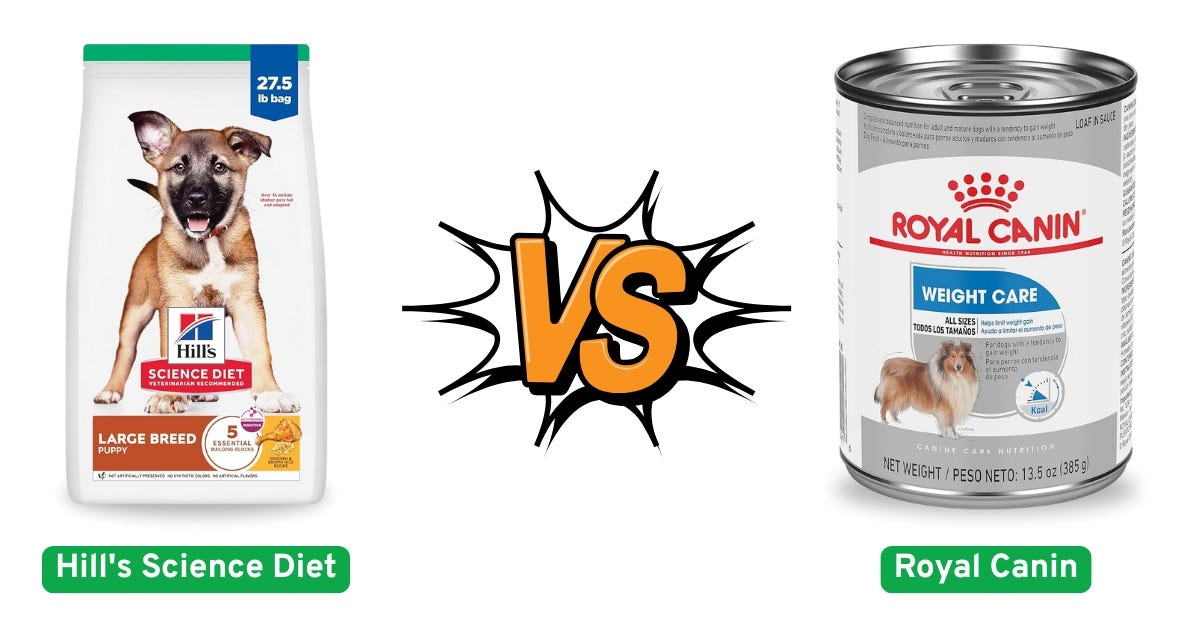 Hill’s Science Diet vs Royal Canin: Fascinating Honest Verdict