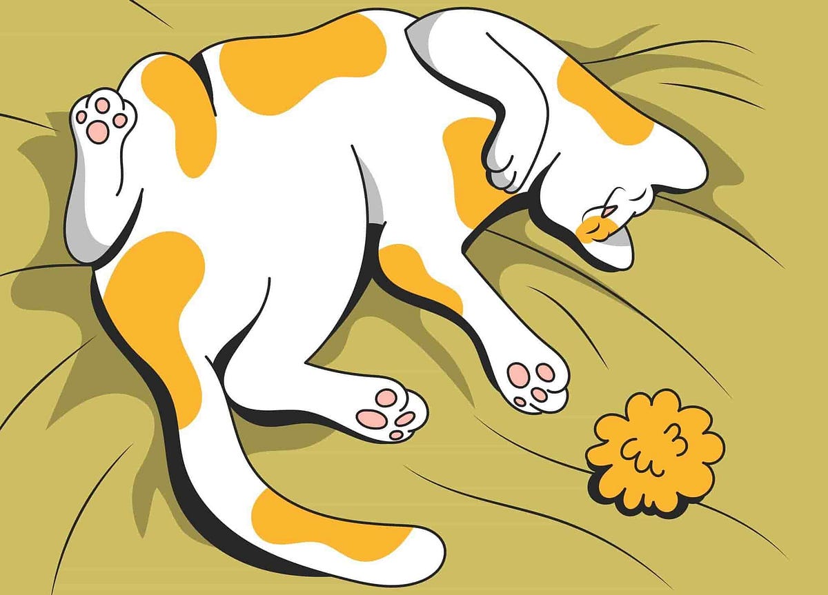why-do-cats-twitch-in-their-sleep-by-petcube-jun-2023-medium