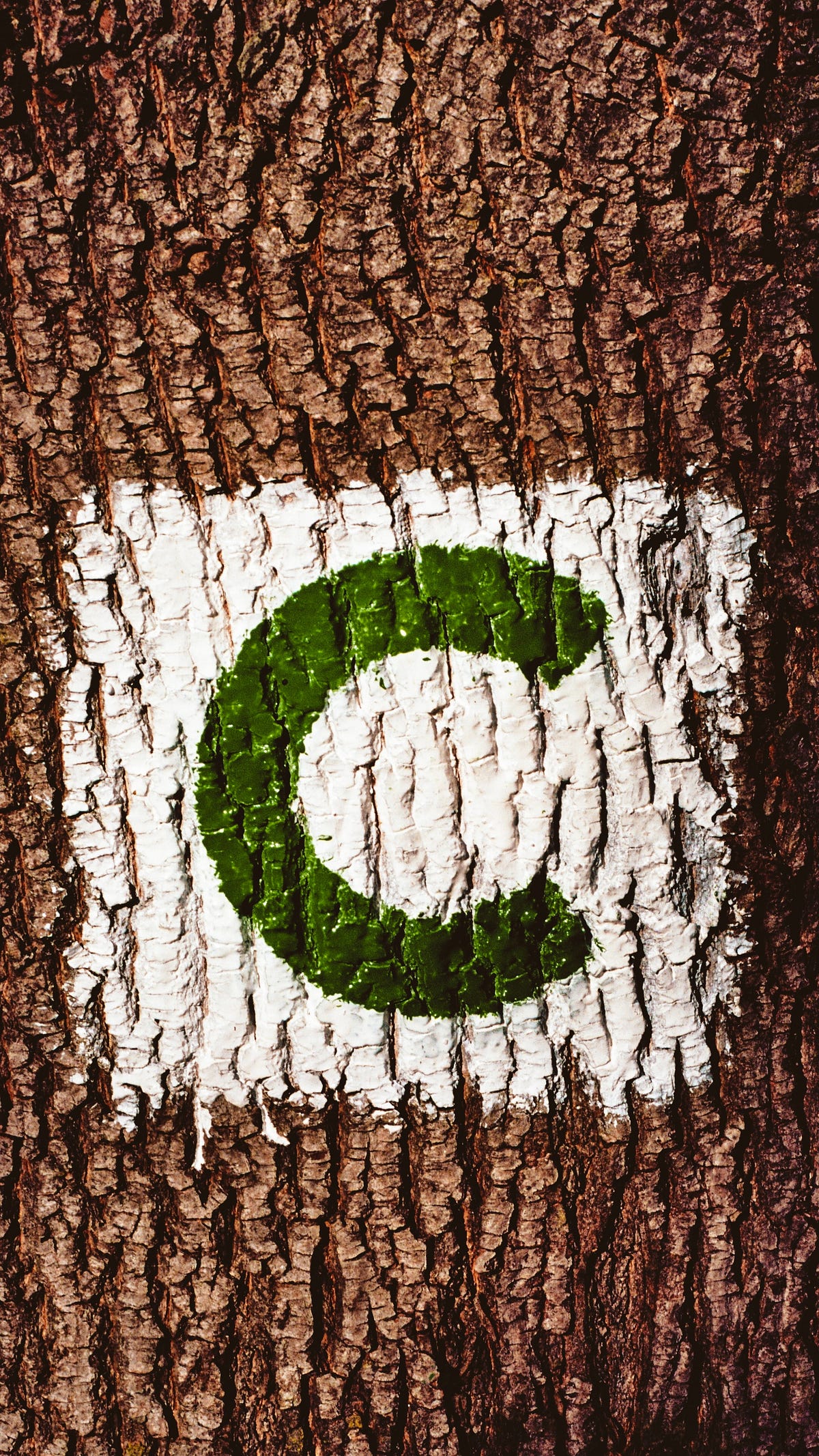 Introduction to Pointers in C A Simple Guide by Mr. T Medium