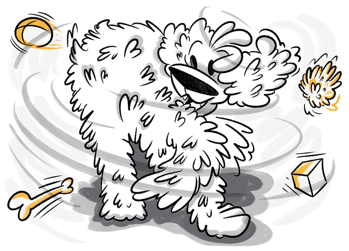 Dog Zoomies Why Do Dogs Run in Circles? by Petcube Nov, 2023 Medium
