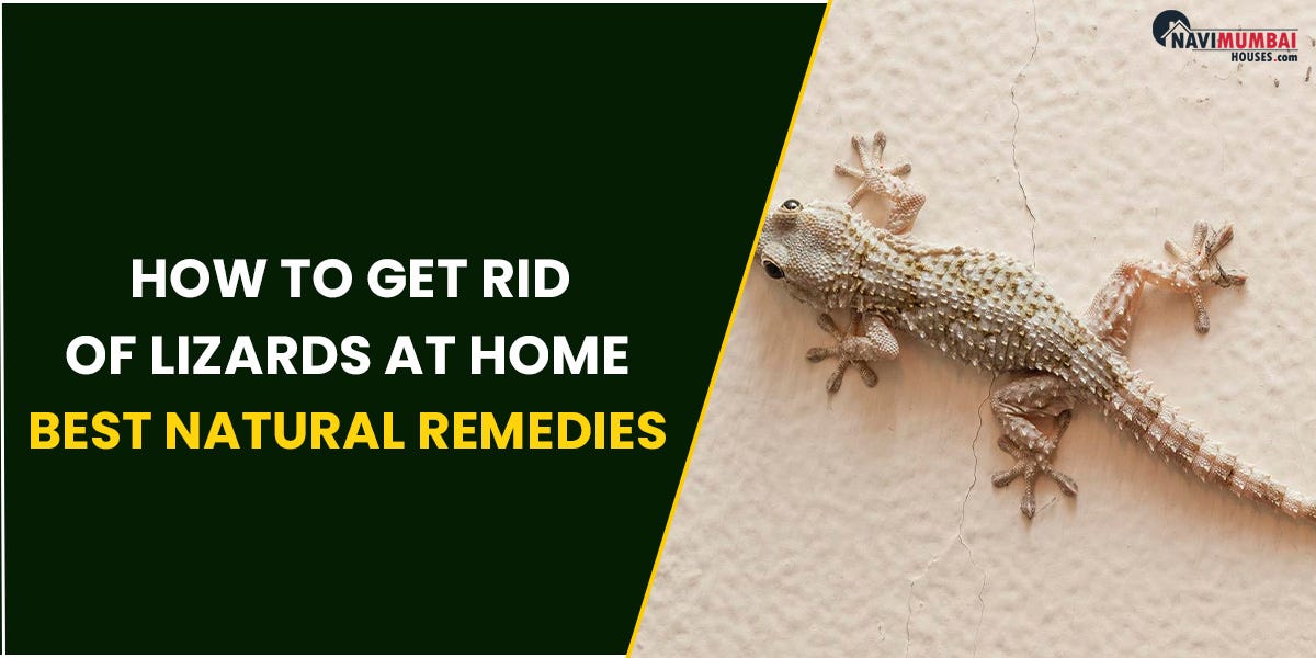 How To Get Rid Of Lizards At Home Best Natural Remedies For Lizards