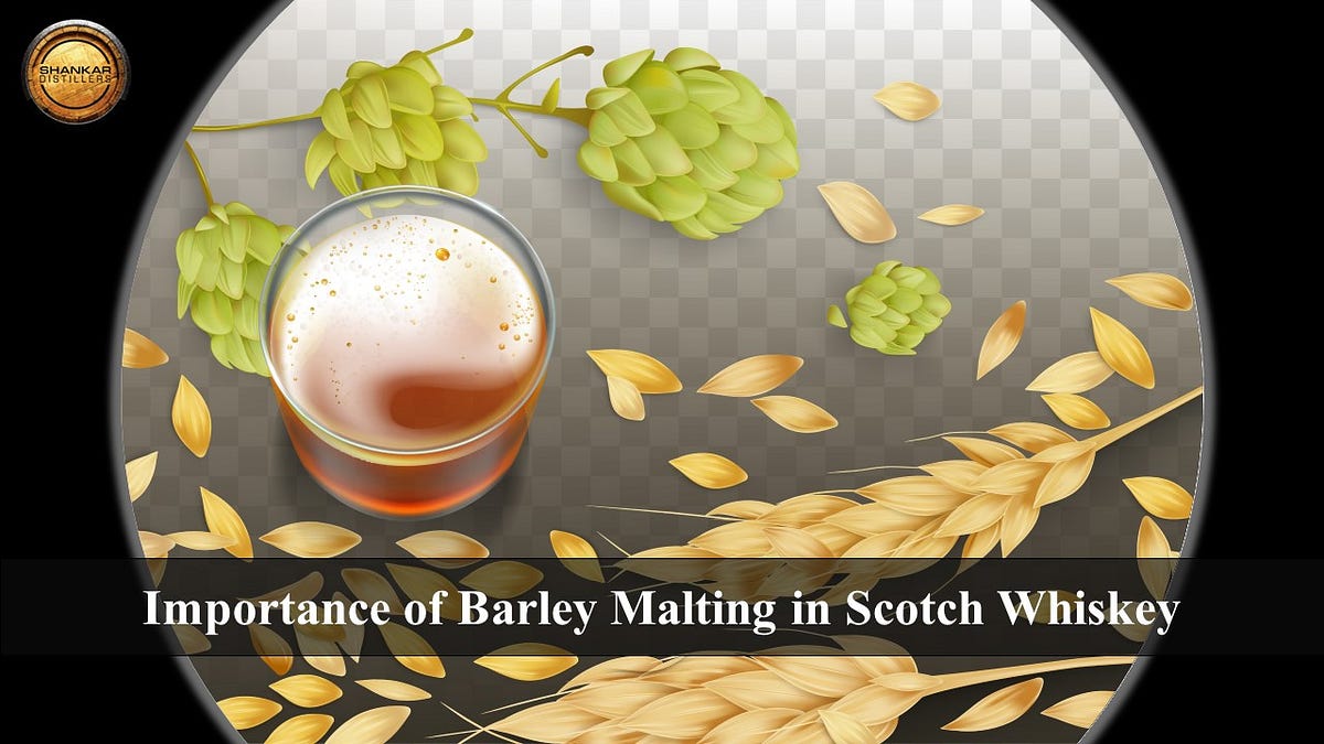 Malting Mastery Unravelling the Importance of Barley Malting in Scotch