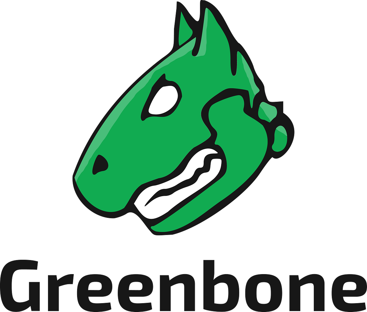 Greenbone Openvas Vulnerability Scanner by Ricardo Domingues Jun
