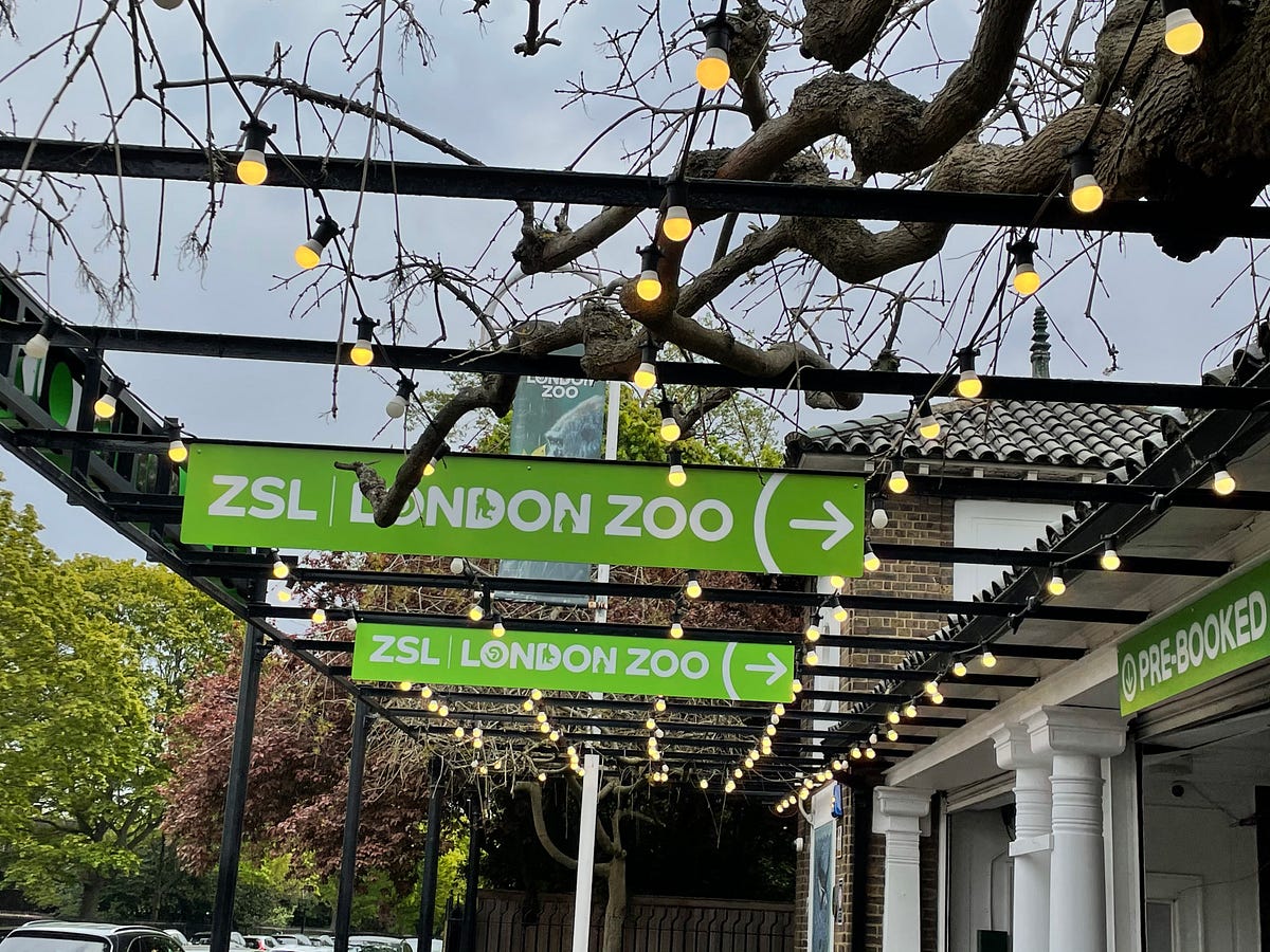 zoo Zoo in London Tickets Price