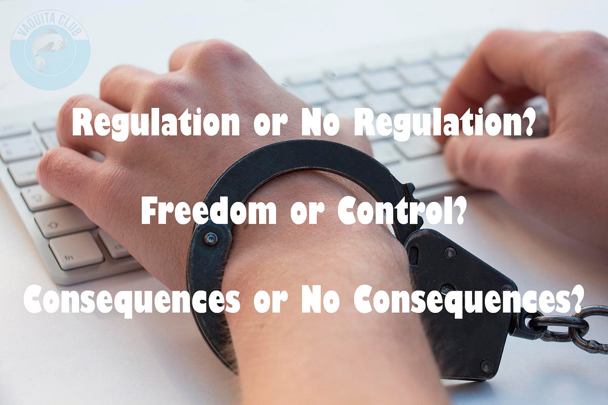 Regulation or No Regulation?. Regulation or No Regulation? Freedom or