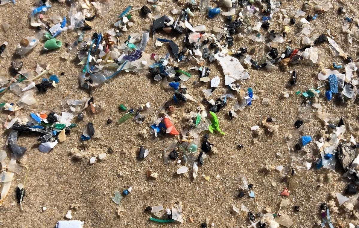 Can Vegans Wear and Use Leather and Fur? by Iota Rossa Medium