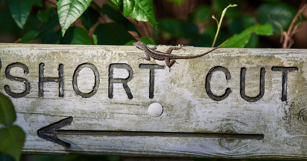 Short-Circuiting in JS: Boost Readability & Performance | JavaScript in ...