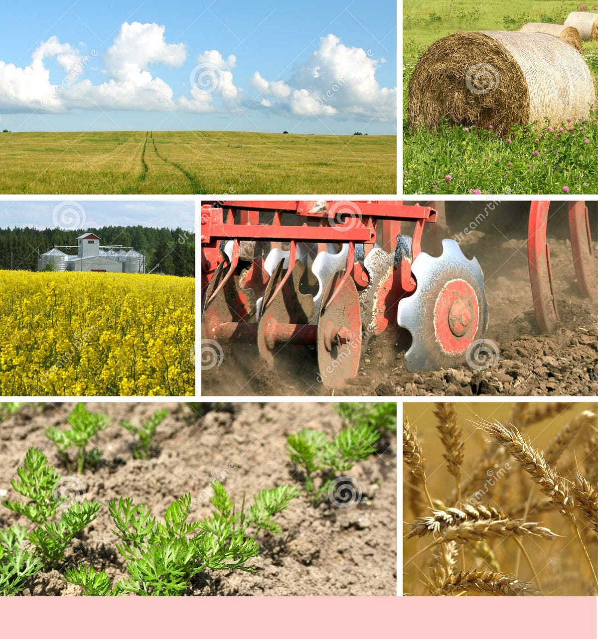 Get Know About Agriculture and Agriculture Parts by