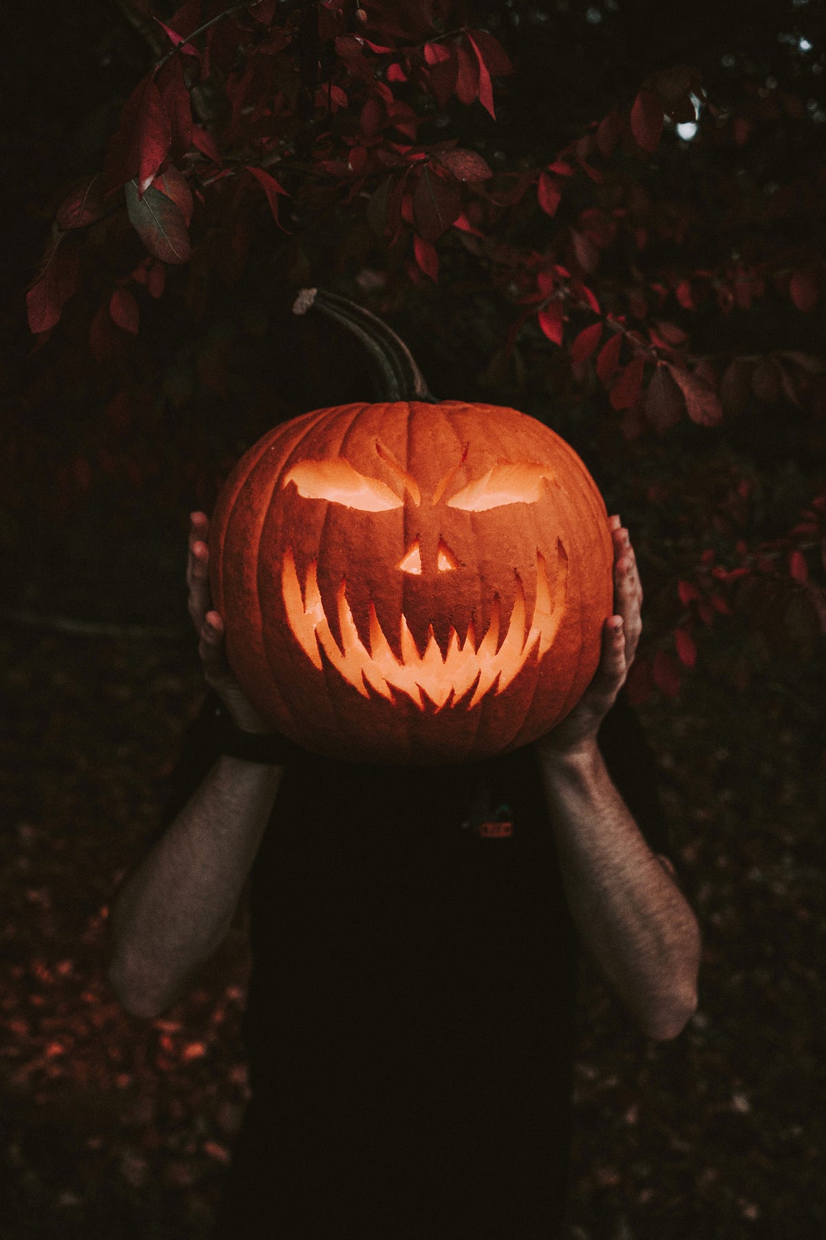 songs-that-go-bump-in-the-night-a-haunting-halloween-playlist-by