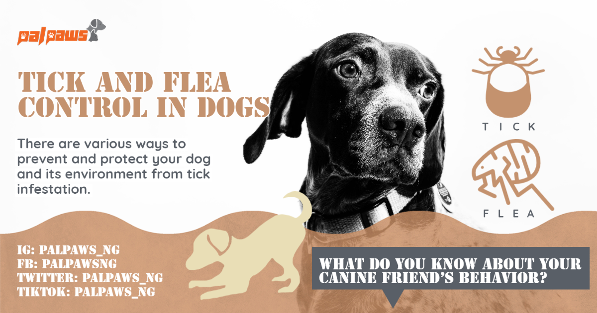 Tick Free Tick Flea Repelling Spray For Dogs Cats