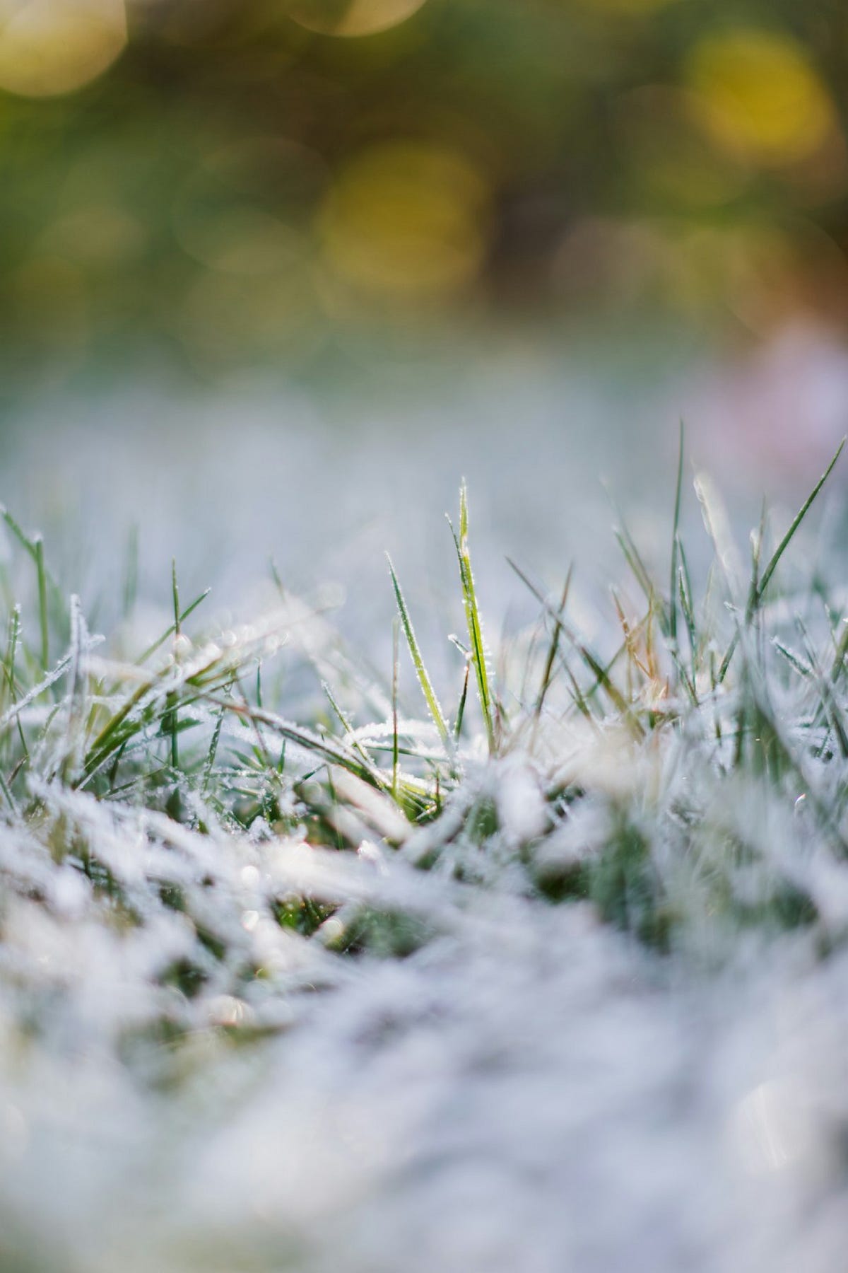Let’s Skip December. It’s too much to go through without you… | by ...