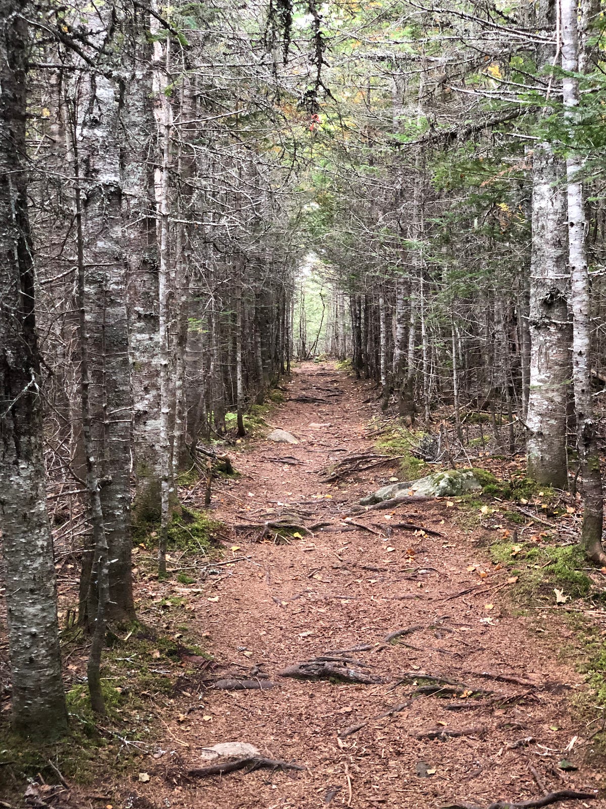 Where Can You Find Your Hope In Life? by Leonard Tillerman