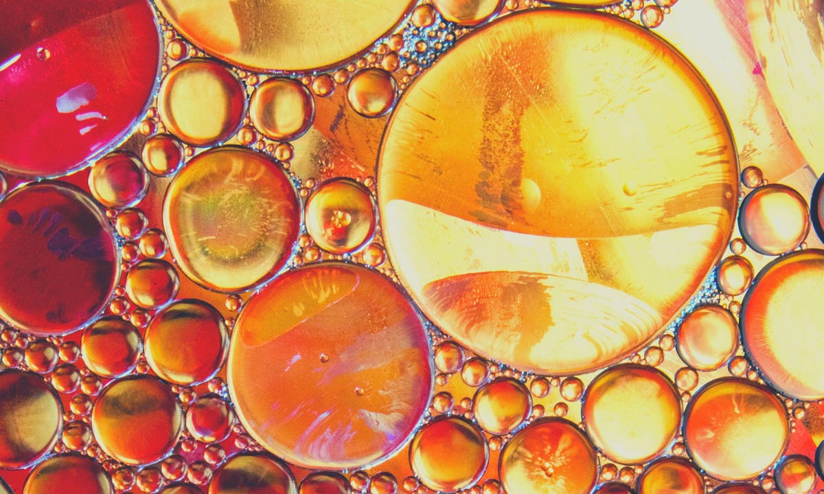 Explore your relationships to navigate… by Sari Fujimaru