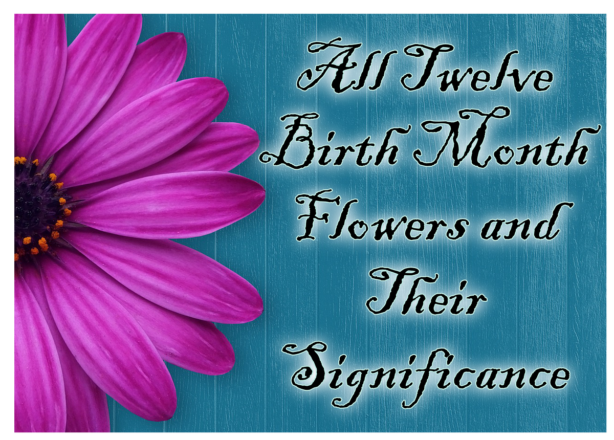 All Twelve Birth Month Flowers and Their Significance by Celeste
