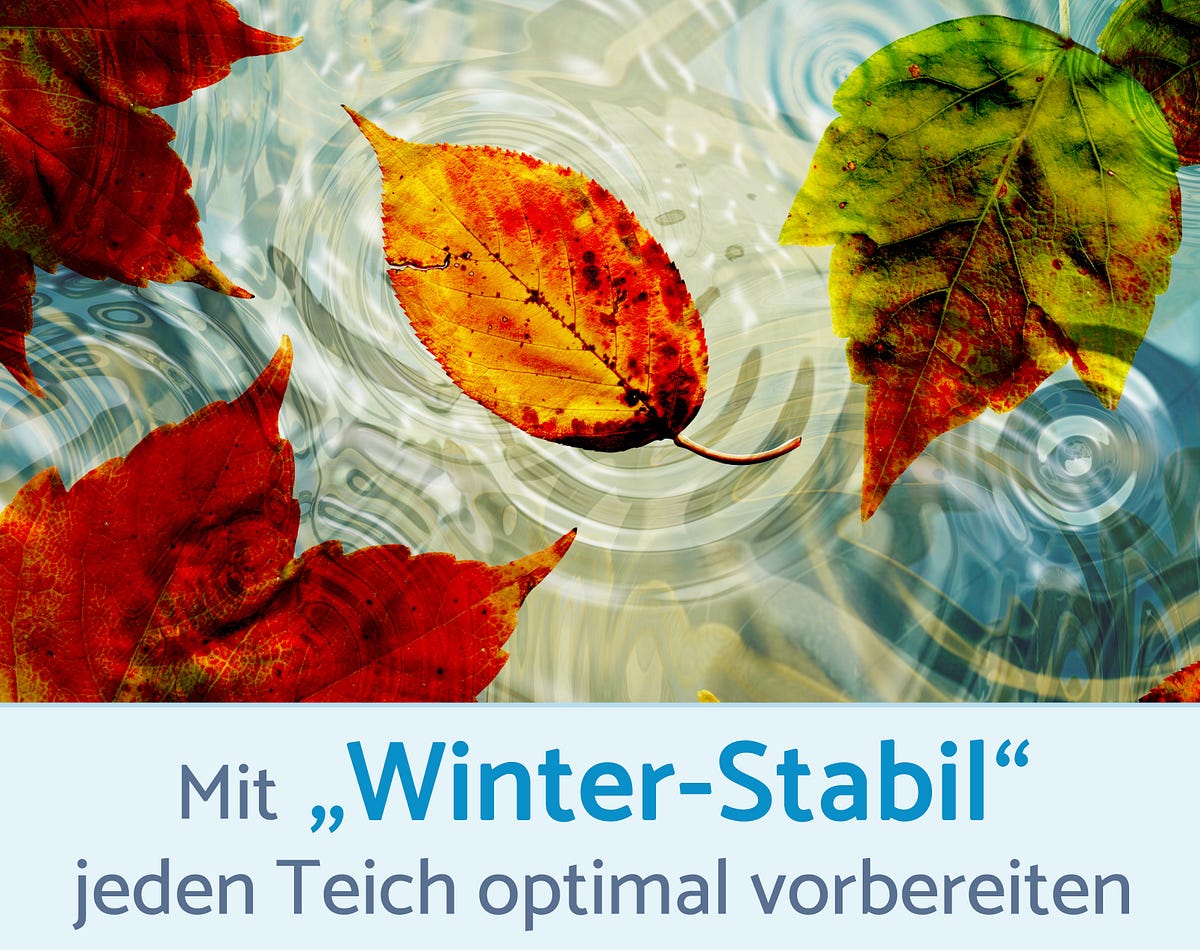 Mit „WinterStabil“ jeden Teich optimal vorbereiten by Weitz