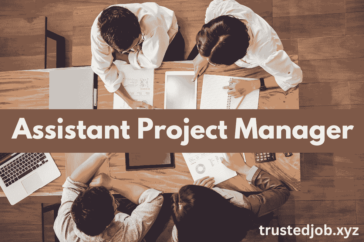 Assistant Project Manager Job