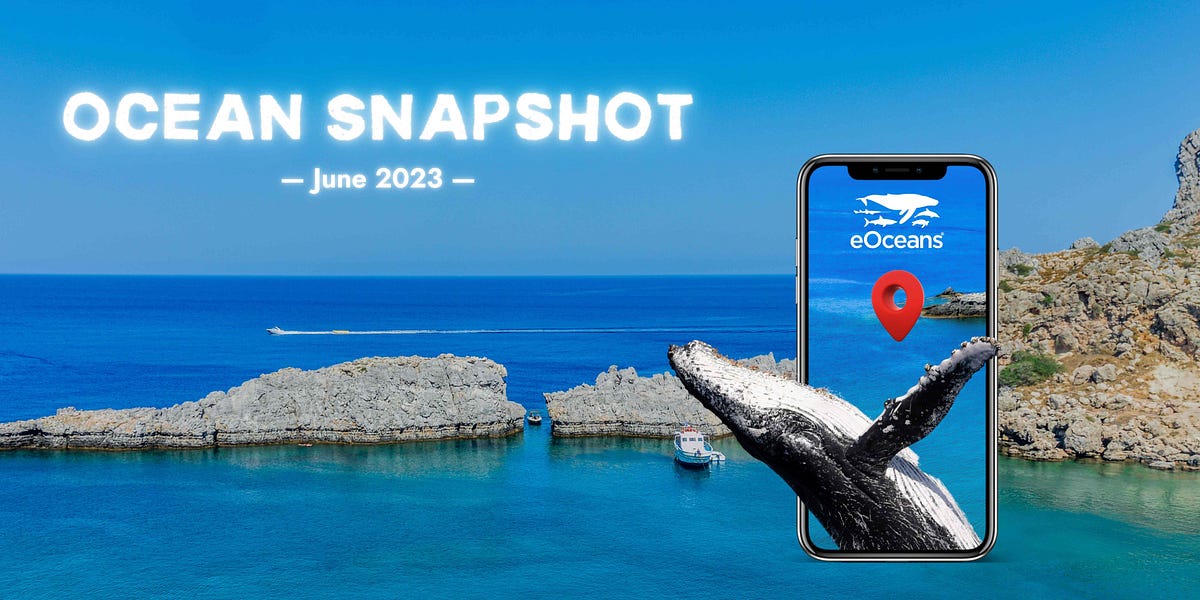 Mapping our most cherished ocean spaces: The “Ocean Snapshot” project ...