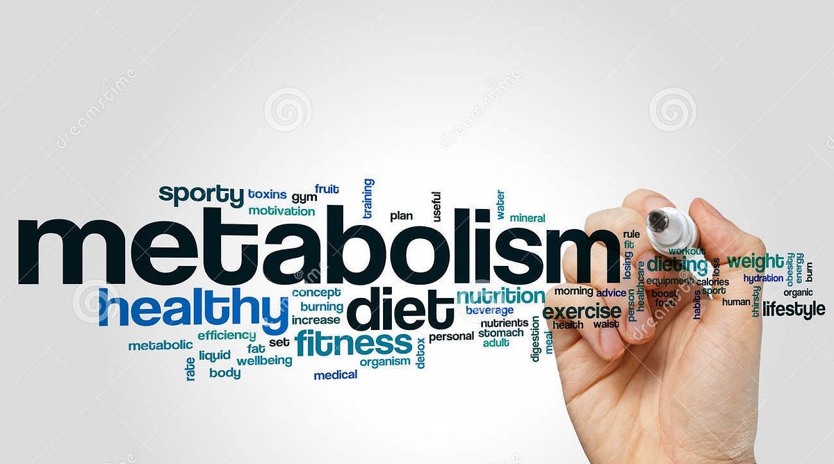 The Science of Metabolism and How it Affects Weight Loss | by Dustin ...