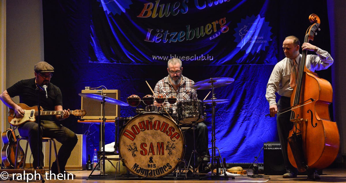 Doghouse Sam shakes the audience to the rhythm of blues