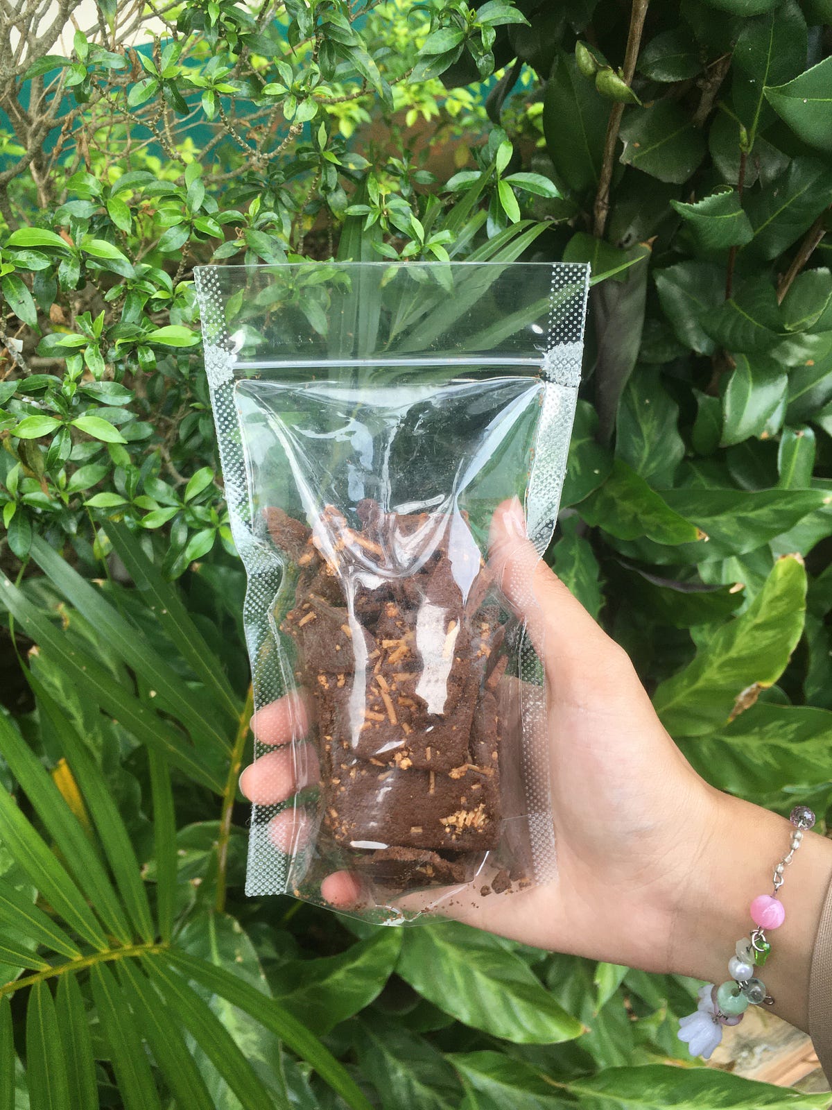 cemilan-sehat-brownies-kering-temani-waktu-santai-kalian-by