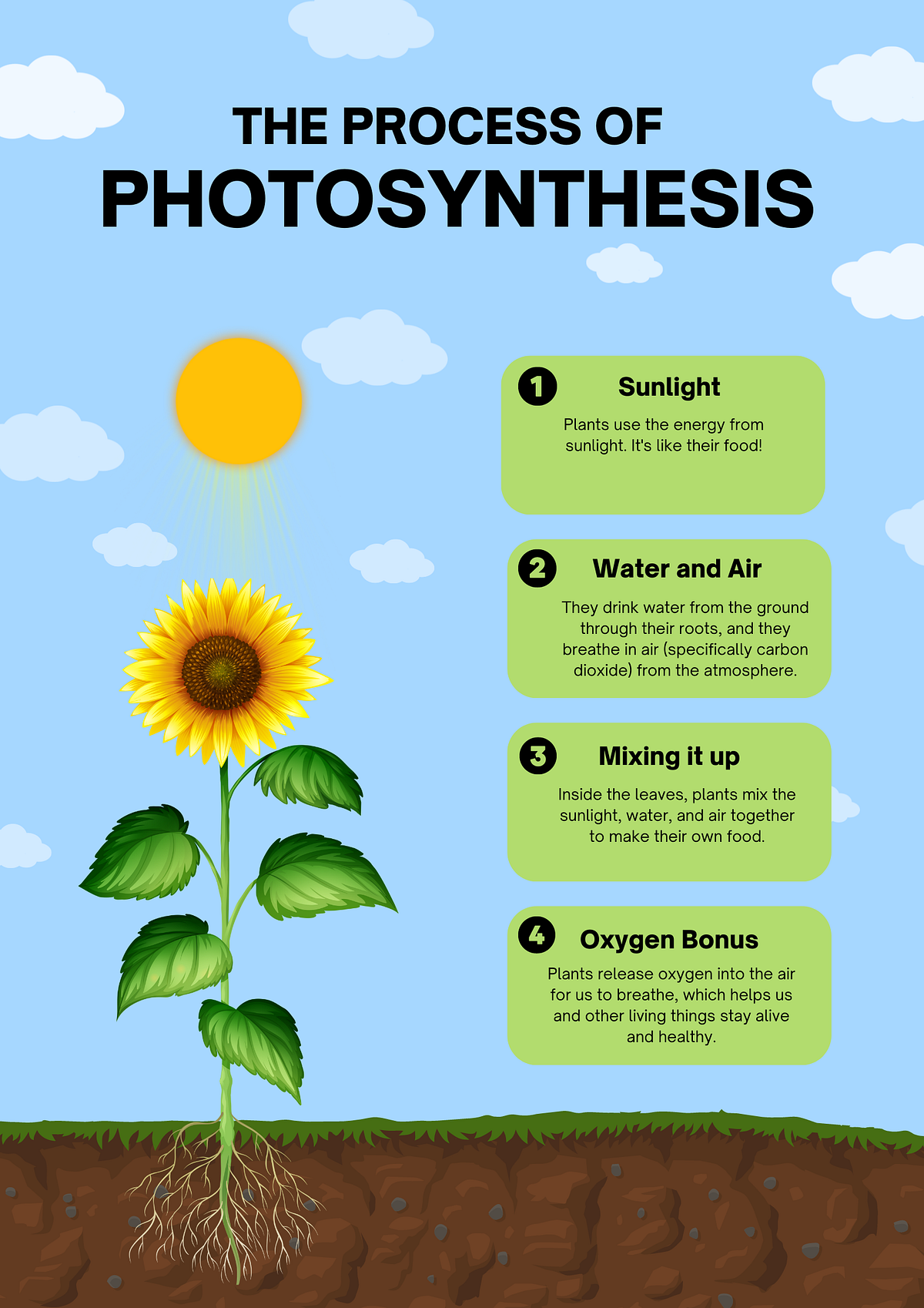 Demystifying Photosynthesis How Plants Make Food by Initkloud Medium