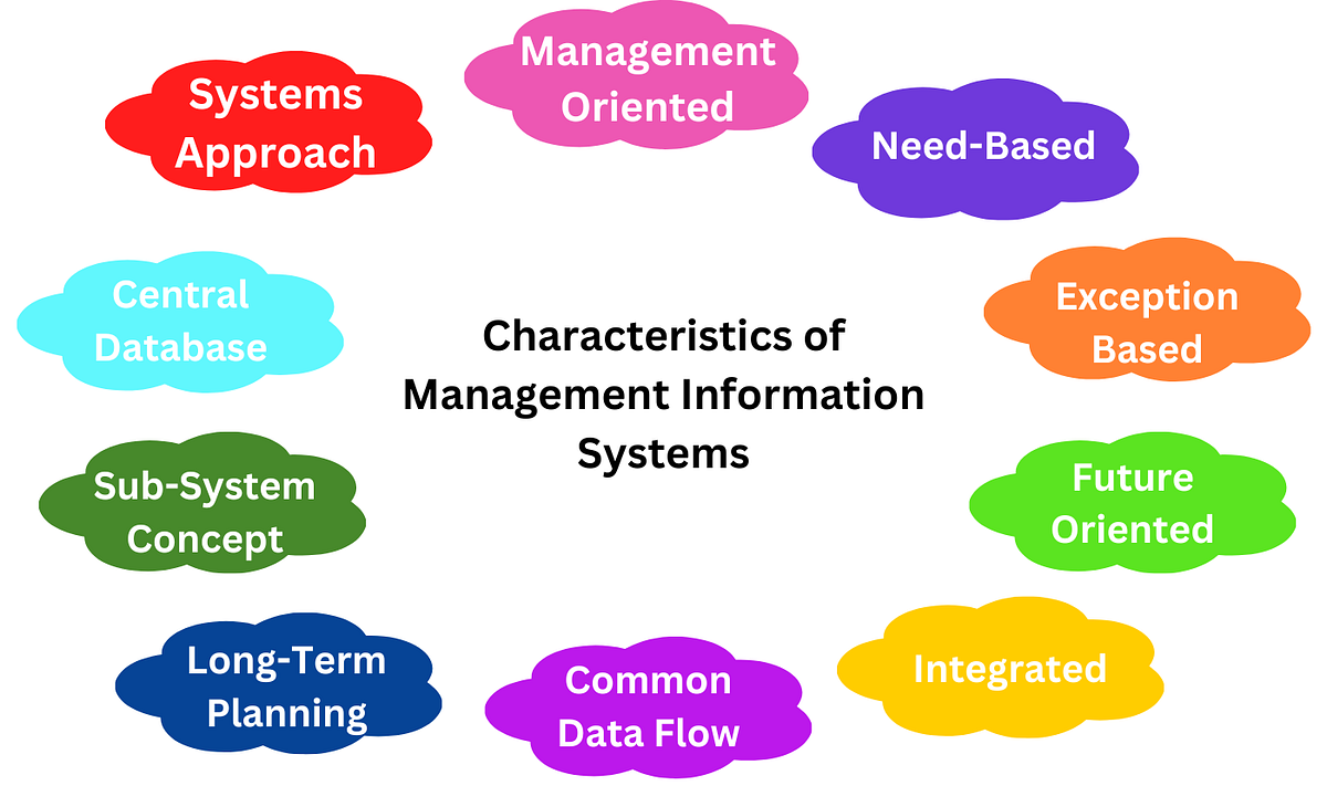 Top 10 Characteristics of Management Information Systems | by Barun ...
