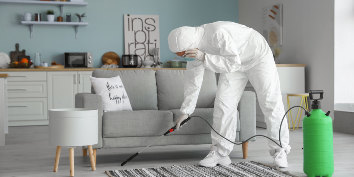 5 Benefits To Get Pest Control Services in Riyadh Dale Steyn Medium