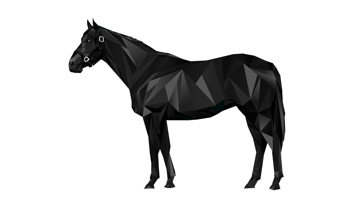 Hold Your Horses. Getting started by ZED RUN ZED Guide Medium