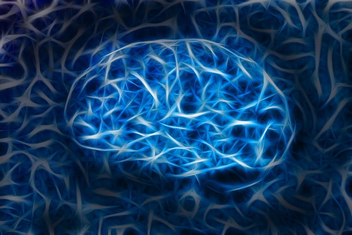 The Science of Habits How Persistence Rewires the Brain by Mubbashir