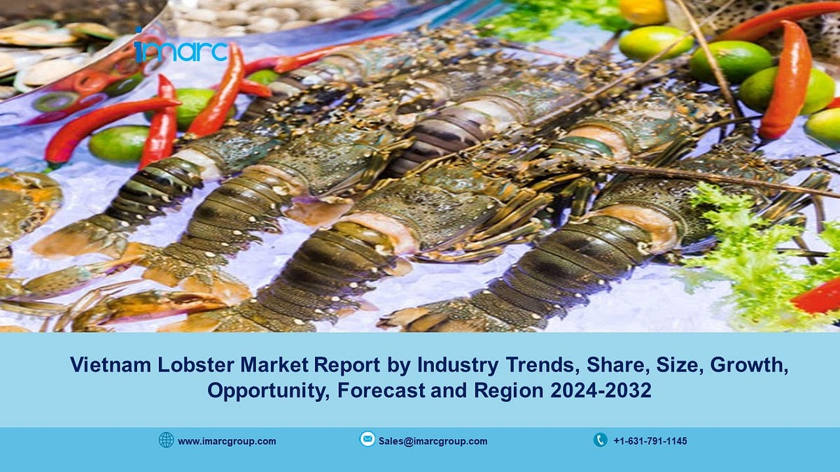 Vietnam Lobster Market Expected to Rise at 9.23% CAGR During 2024–2032 ...