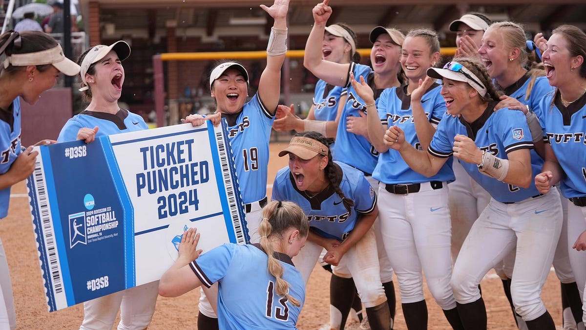 The Final Chapter 2024 D3 WCWS by Frizzy Fan Medium