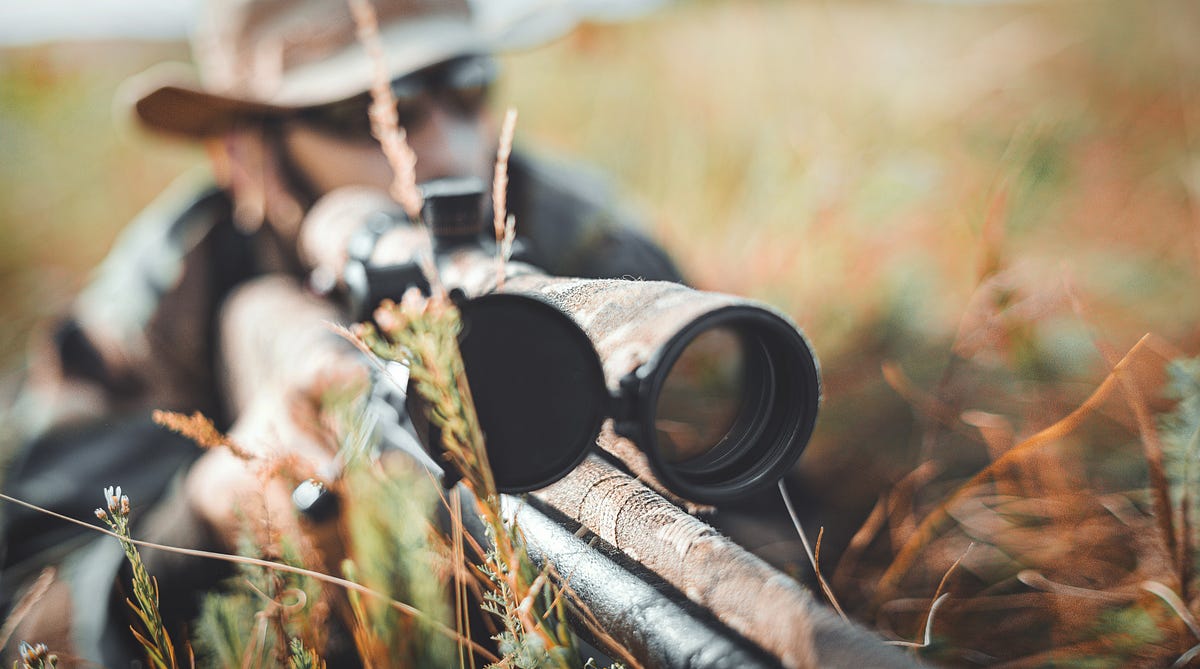 Angled vs. Straight Spotting Scope Explained Medium