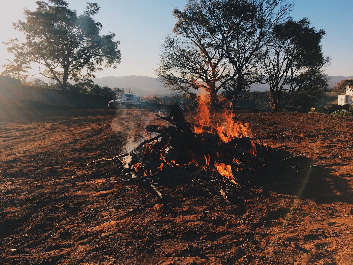 I have always been terribly afraid of fire. by Jennifer Luiza Medium