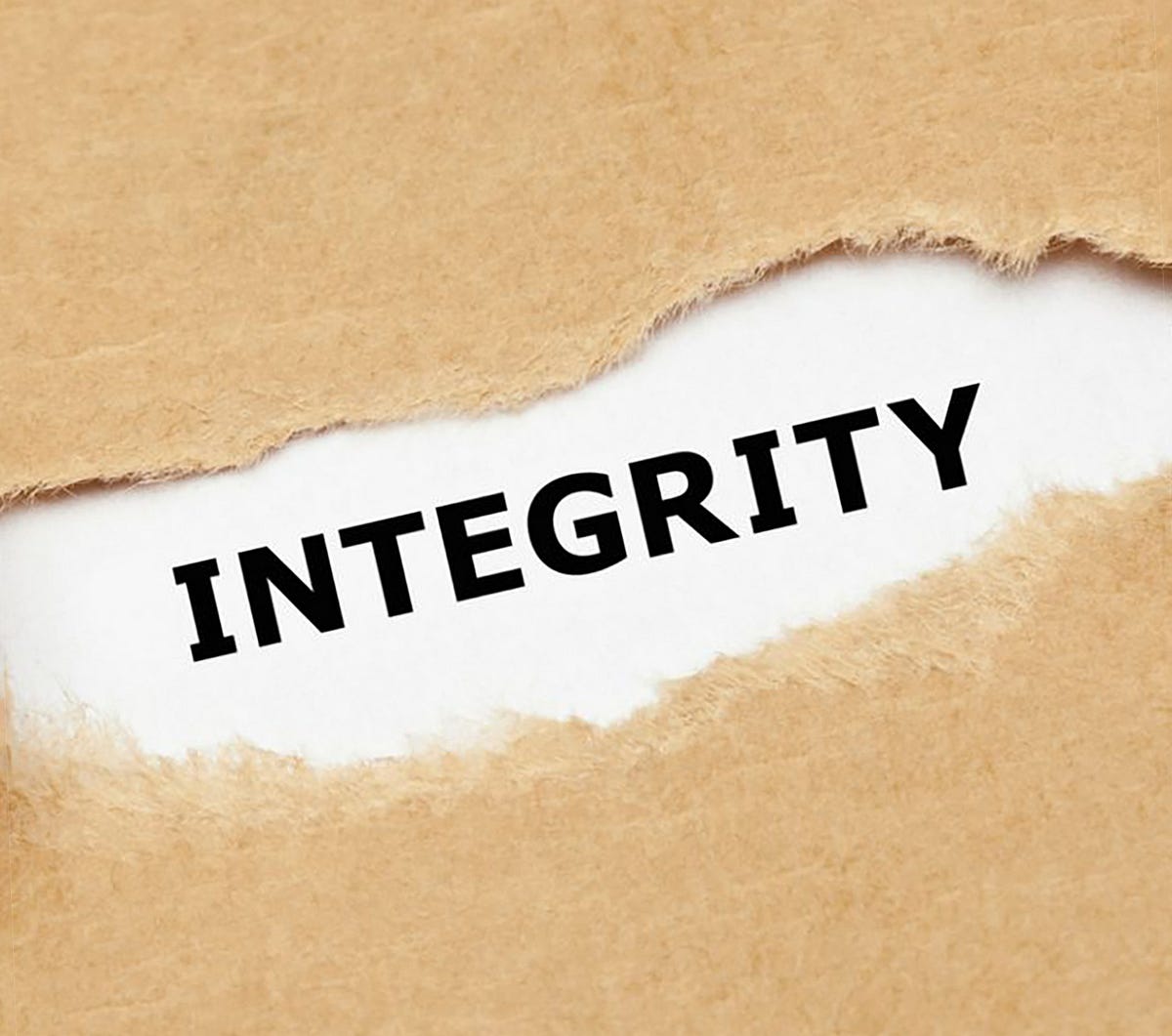 The Irreplaceably Portion of Integrity | by Mubashar Abbas | Nov, 2024 ...