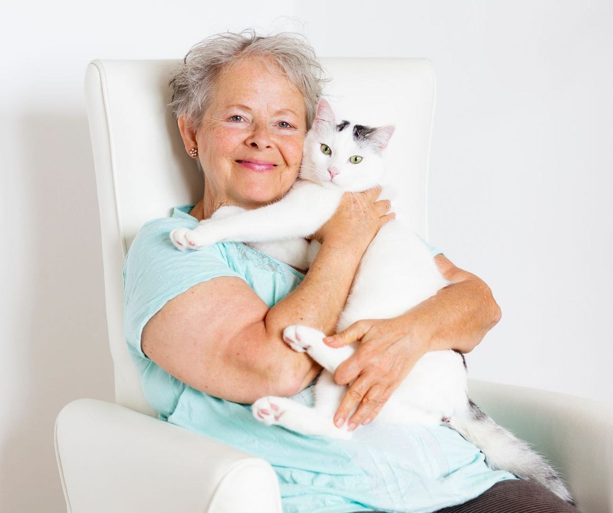 Why Cats Make Good Pets For Older People by Shelley Wenger Pet