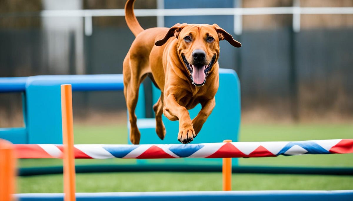 Mastering Rhodesian Ridgeback Training Techniques by Heartsofpets