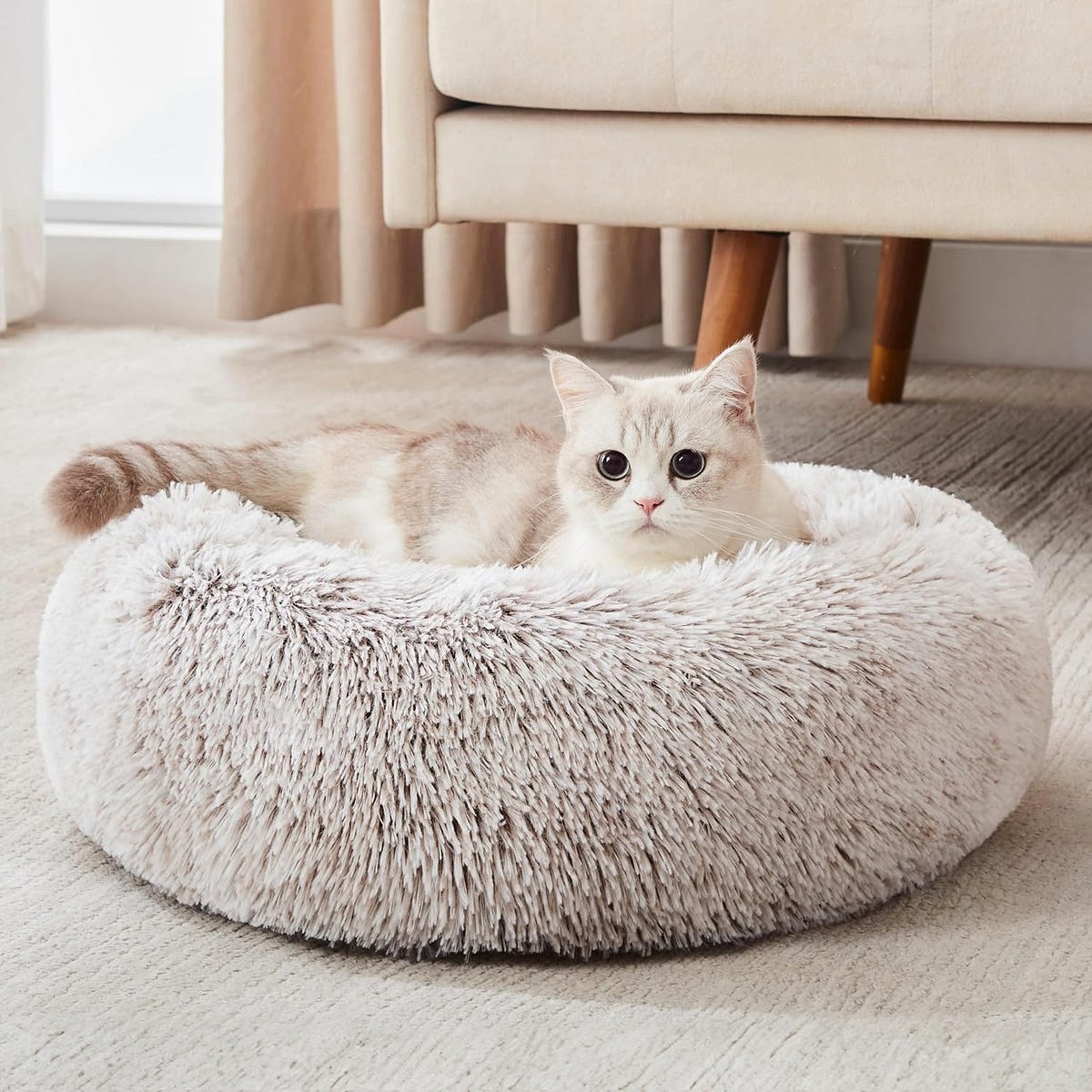 The Original Calming Donut Cat and Dog Bed: Providing Tranquil Sleep ...