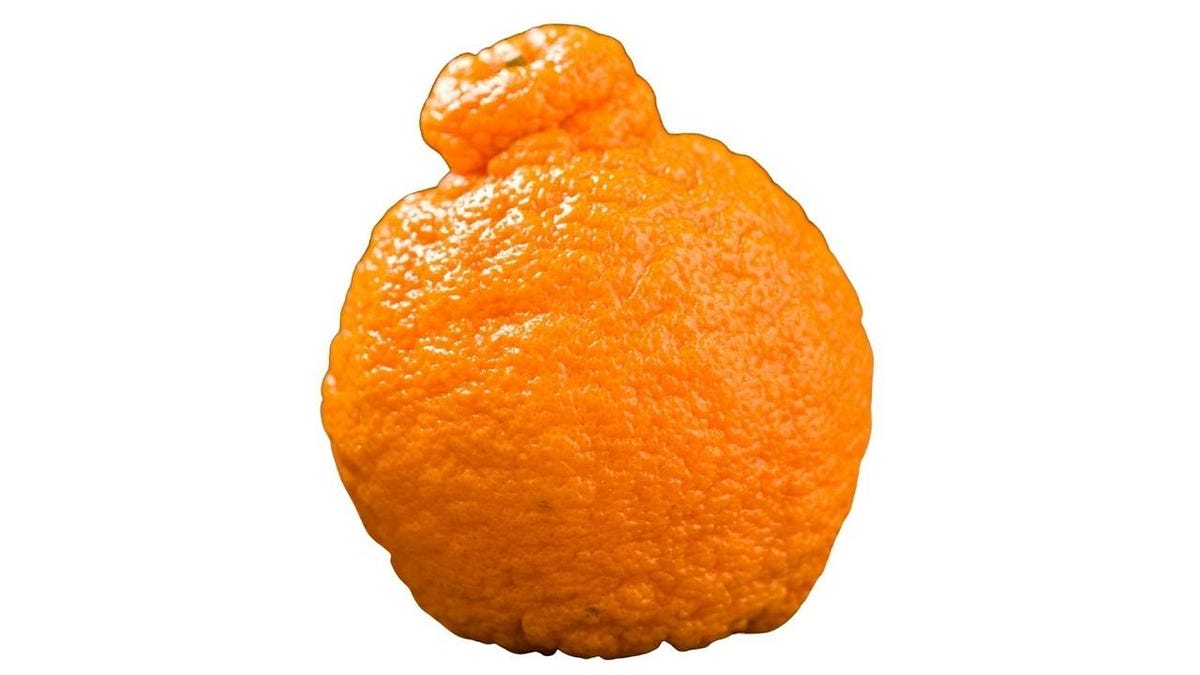 Sumo Oranges: Do They Make Life Sweeter or More Challenging? | by David  Hinckley | Medium