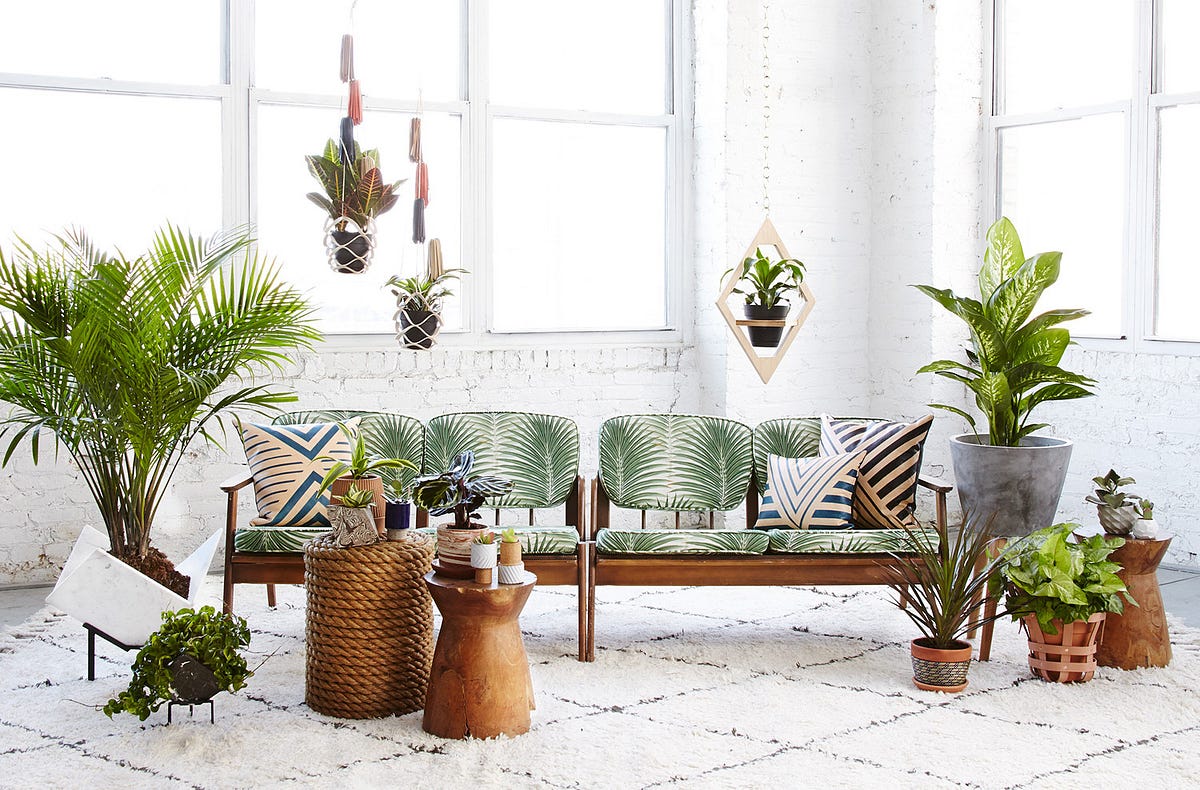 How to Use Plants in the Interior by Anna Samygina Basics of