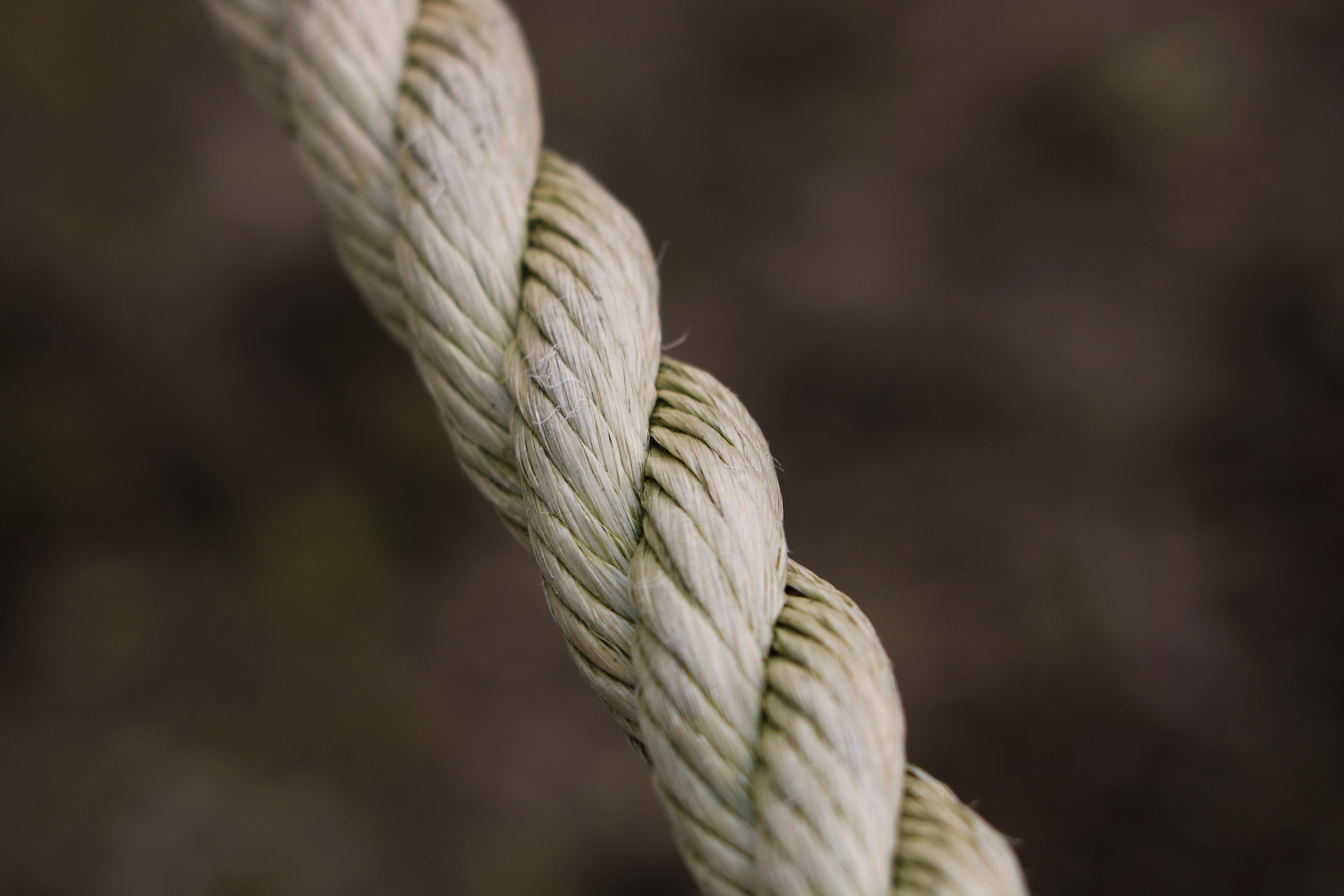 Dropping the Rope with Anxiety. Insight from an Aspiring Therapist
