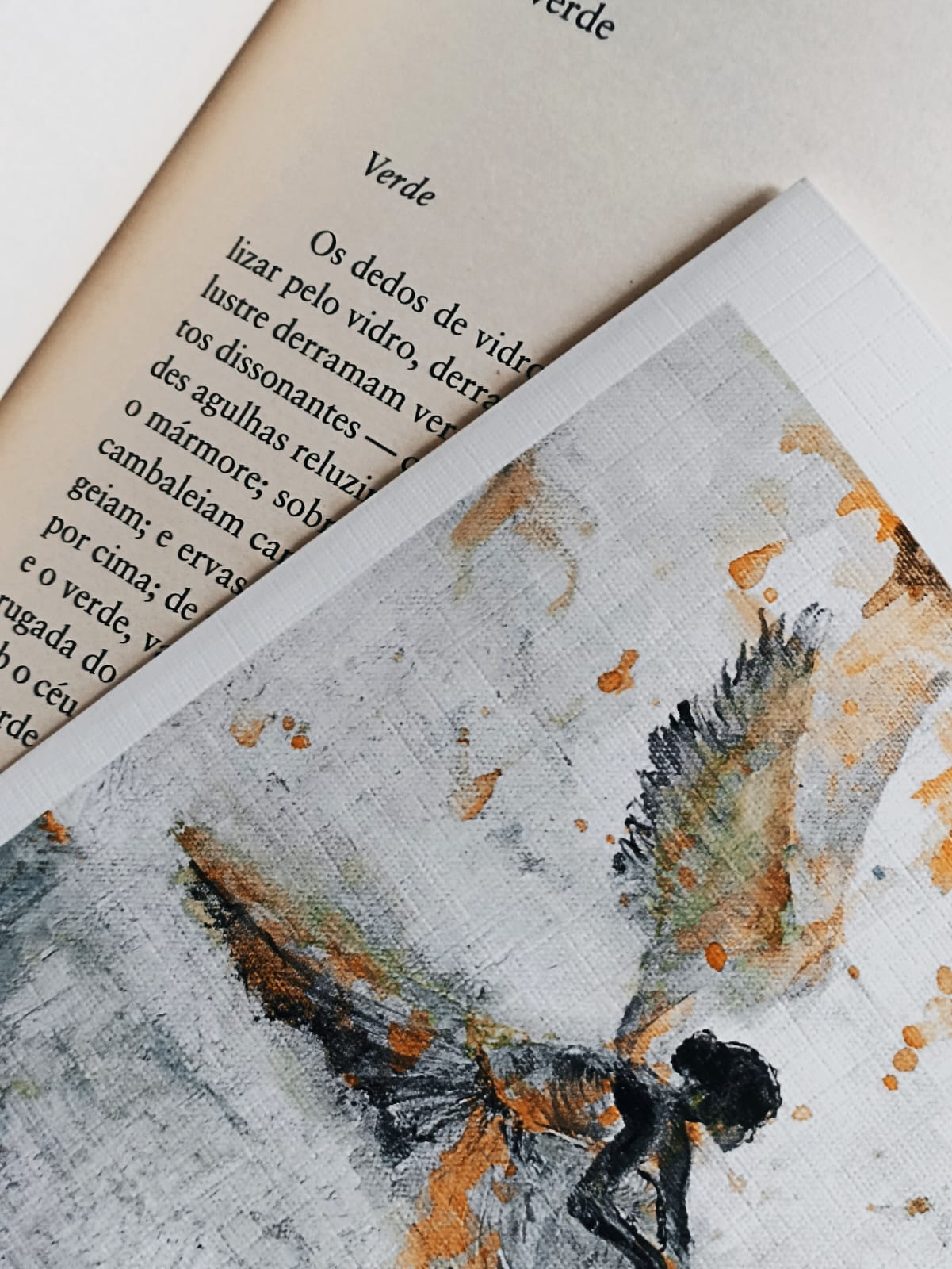 A indocilidade das imagens: A inexatidão em Clarice Lispector e Virginia Woolf
