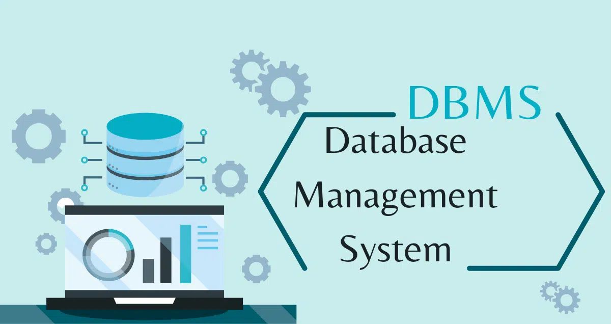 Management Studio (SSMS) yoksa SQL db mizi nasıl shrink edebiliriz.